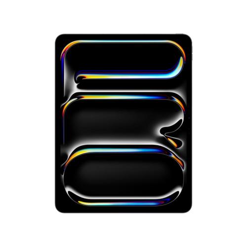 APPLE 13INCH IPAD PRO WIFI CELLULAR 256GB WITH STANDARD GLASS SPACE BLACK